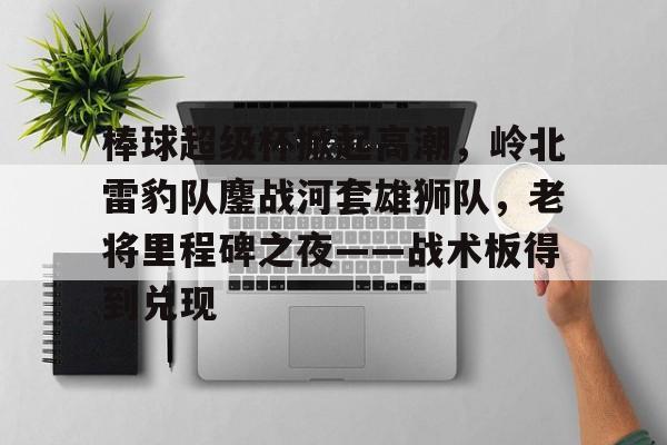 九游会APP-棒球超级杯掀起高潮，岭北雷豹队鏖战河套雄狮队，老将里程碑之夜——战术板得到兑现的简单介绍